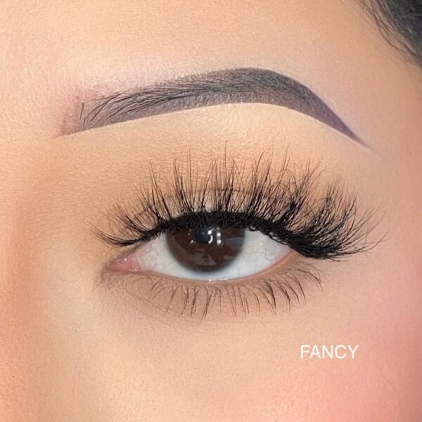 Fancy - Image 4